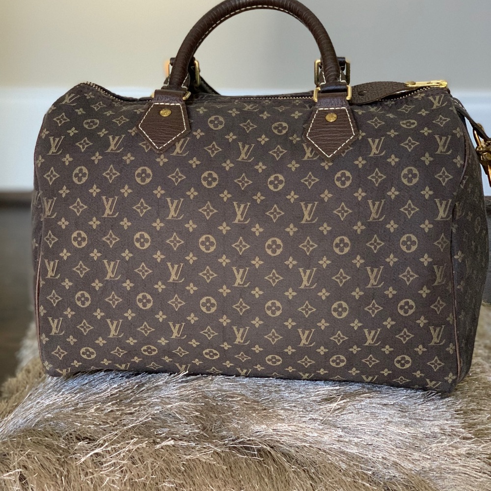 Louis Vuitton Idylle Speedy 30 Monogram